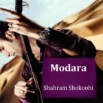 دل دیوونه | شهرام شکوهی