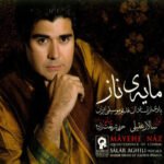 تصنیف شور | سالار عقیلی